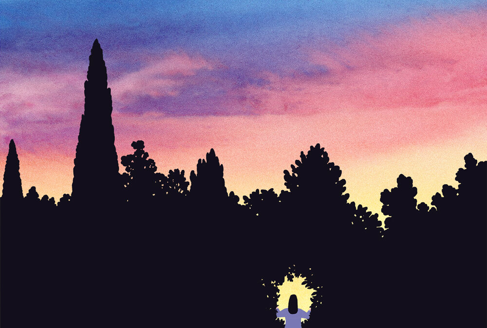 Festival literature sveta Fabula